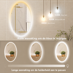 Ovale LED Badkamerspiegel