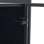 Vitrinekast - 16 kleuren LED-verlichting