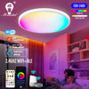 Plafond lamp met smartfunctie